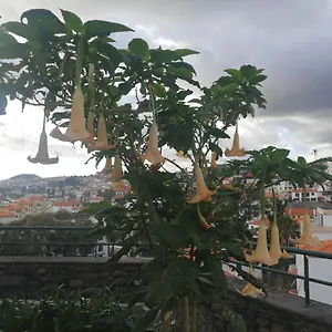 Casa Vanday Funchal (Madeira)